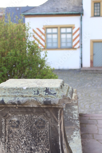 Flechten auf Sandstein