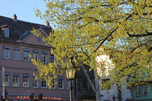 Frühling mit Laterne