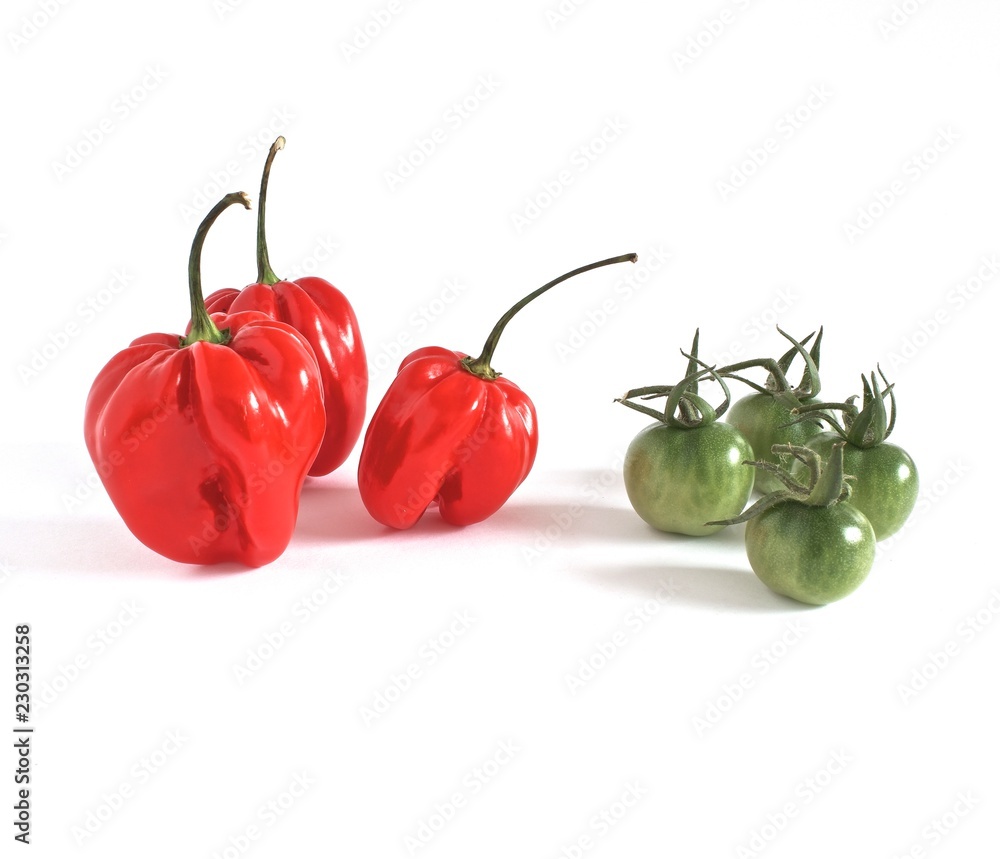 red team against green team red team against green team