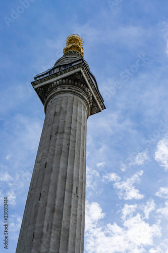 Obraz na płótnie The Monument to commemorate the Great Fire of London in 1666, London, UK w salonie