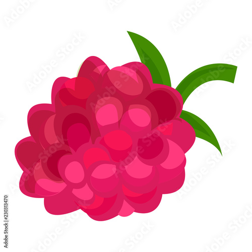 Raspberry icon. Cartoon of raspberry vector icon for web design isolated on white background