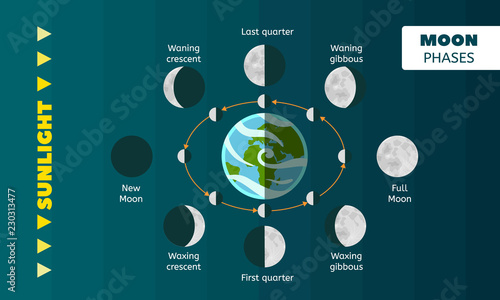 Moon phases concept background. Flat illustration of moon phases vector concept background for web design