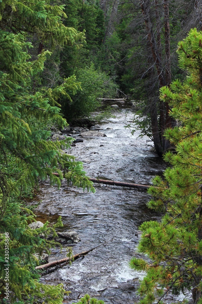 Summertime photo of a flowing stream in Rocky Mountain National Park, Colorado with trees on each side Summertime photo of a flowing stream in Rocky Mountain National Park, Colorado with trees on each side