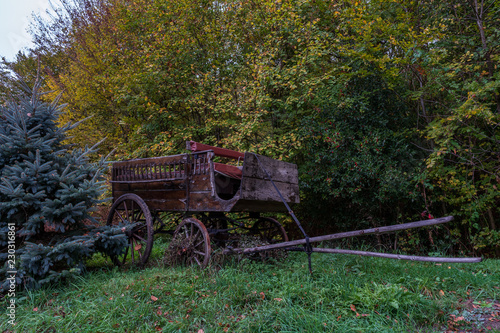 old cart with flowers