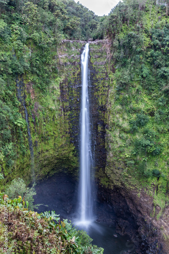 Akaka Falls waterfall in Hilo, Hawaii. Water drops over 400 feet down the cliff to the pool below, surrounded by lush rainforest vegetation. In Akaka Falls State Park. 