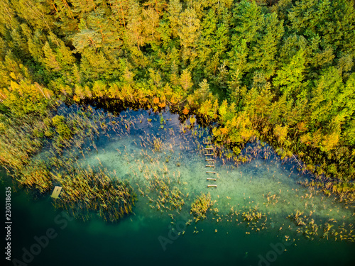 Aerial top down view of lake Gela coast with fallen trees and forest near Vilnius city  Lithuania