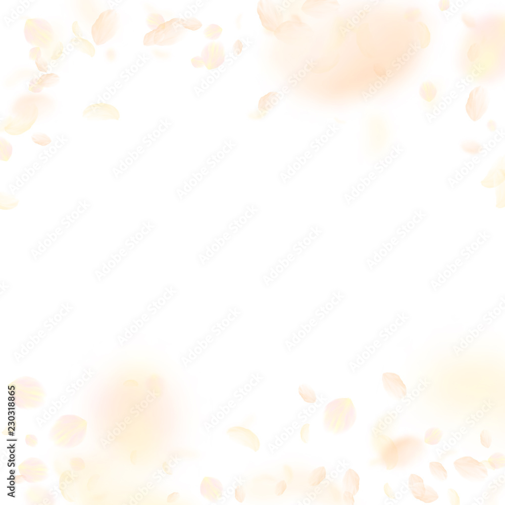 Yellow orange flower petals falling down. Neat rom Yellow orange flower petals falling down. Neat rom