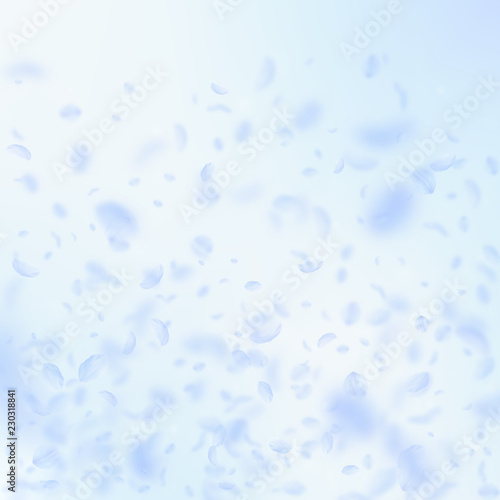 Light blue flower petals falling down. Perfect rom