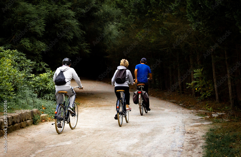 Naklejka premium Three Cyclists in the Park