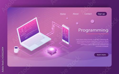 Software development and programming, program code on laptop screen, big data processing
