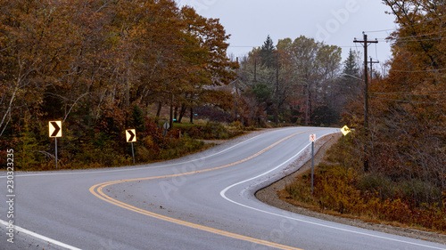 road in the forest