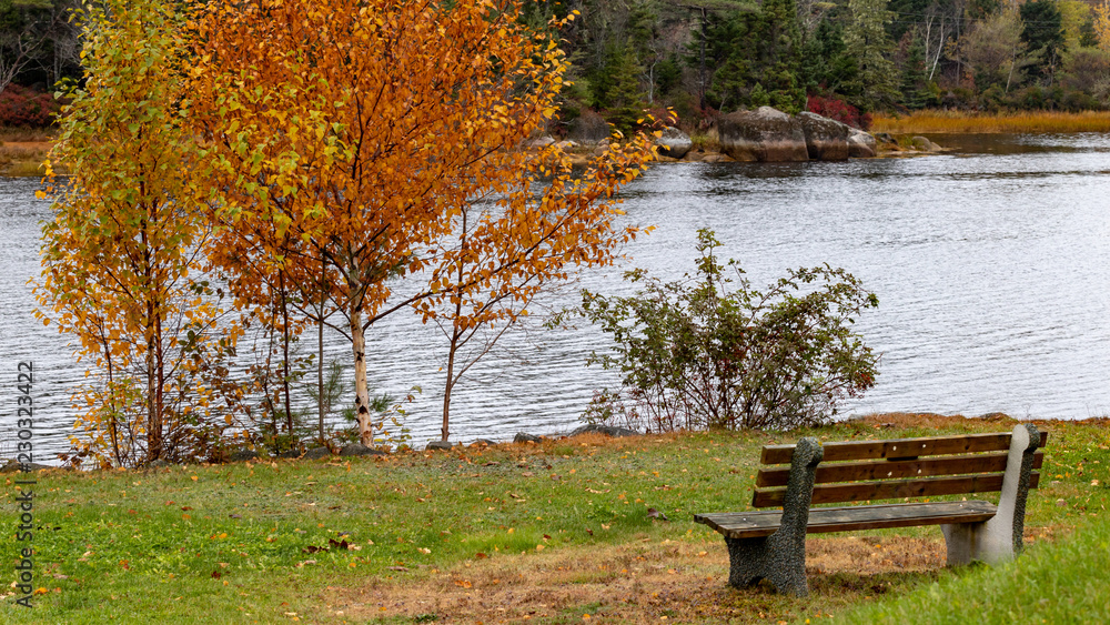 Obraz premium A lonely sexy bench waits by the river in autumn.