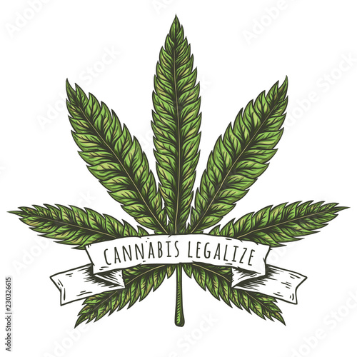 Cannabis leaf vector illustration. Vector eps10 isolated illustrations.