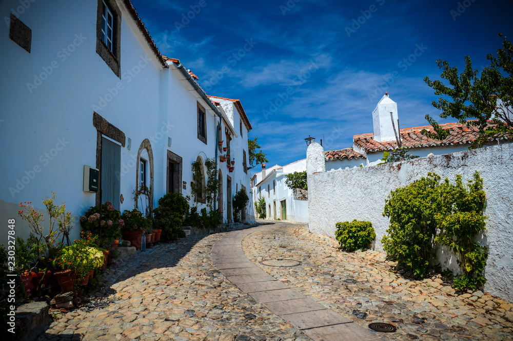 Stone street with old white houses with red tiles and flowerpots against the blue sky in Portugal