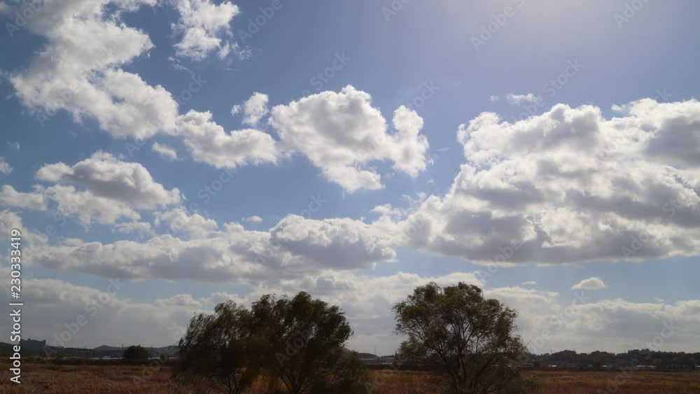 Swaying trees and clouds in the wind Swaying trees and clouds in the wind