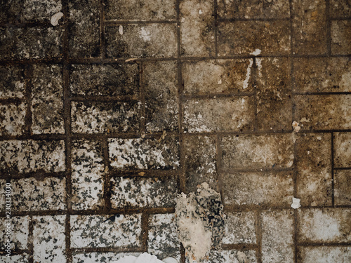 Filthy and rotten bathroom or cellar floor with white tiles covered with mouldy wallpaper scraps, dirt and water in demolished apartment before renovation photo