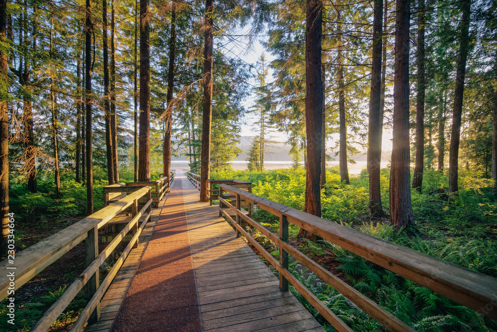 Obraz premium boardwalk to the lake