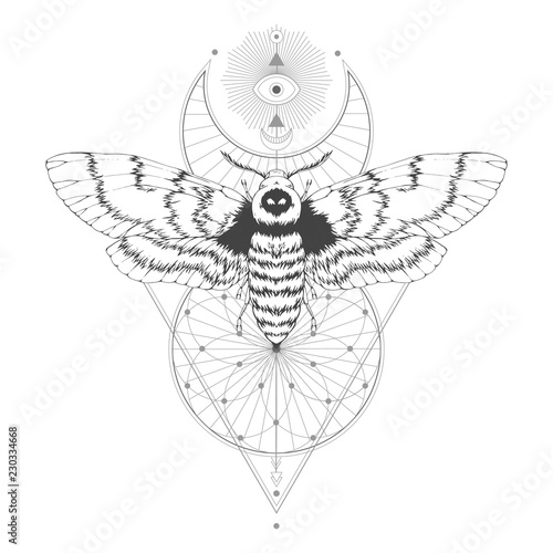 Vector illustration with hand drawn dead head moth and Sacred geometric symbol on white background. Abstract mystic sign. Black linear shape. For you design.