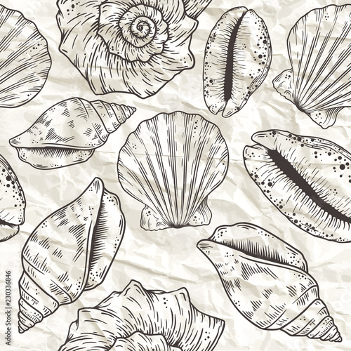 Hand drawn marine background. Vector isolated eps10 illustration.