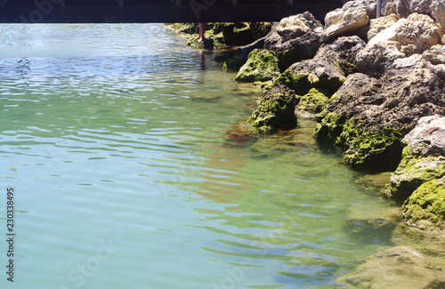 Water near jetty with rocks