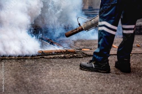 Health officials are spraying the mosquito-bred mosquitoes to prevent blood-borne diseases.
