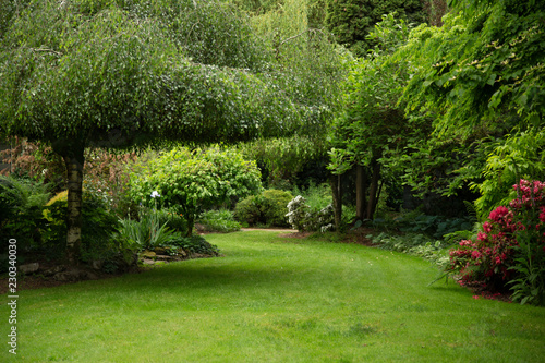 Fotografija View of lush green garden with willow tree, green lawn, no sky and no body in ga
