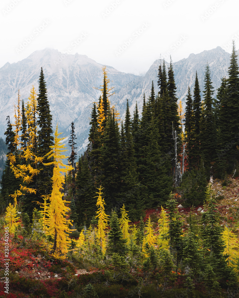 autumn in the mountains autumn in the mountains