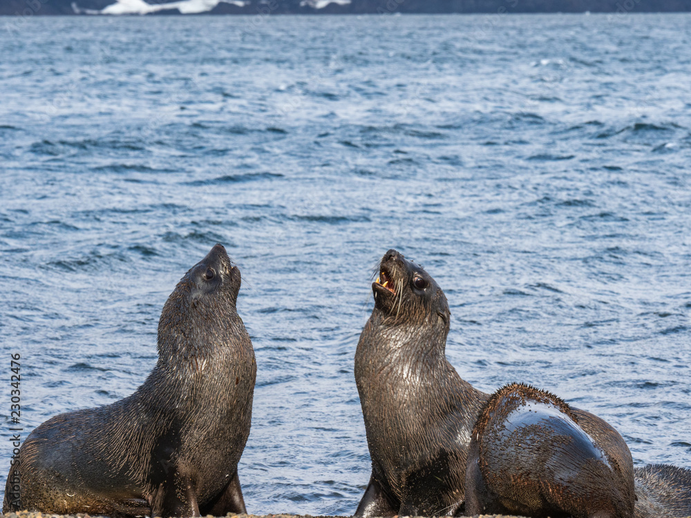 Fototapeta premium OLYMPUS DIGITAL CAMERA