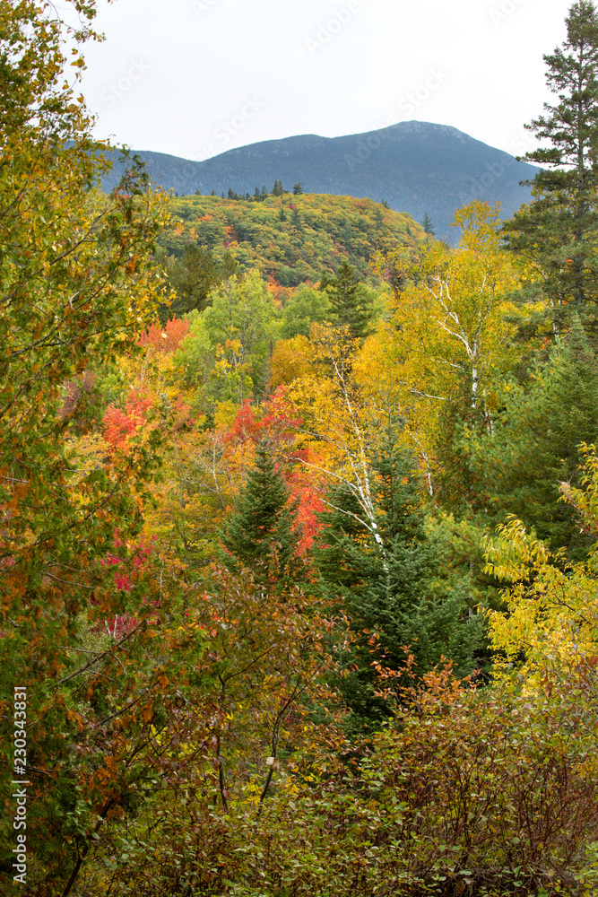 Fall foliage and mountains of the Bigelow Range in Maine.
