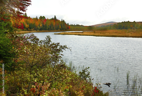 Colorful fall foliage around Stratton Brook Pond, Maine.