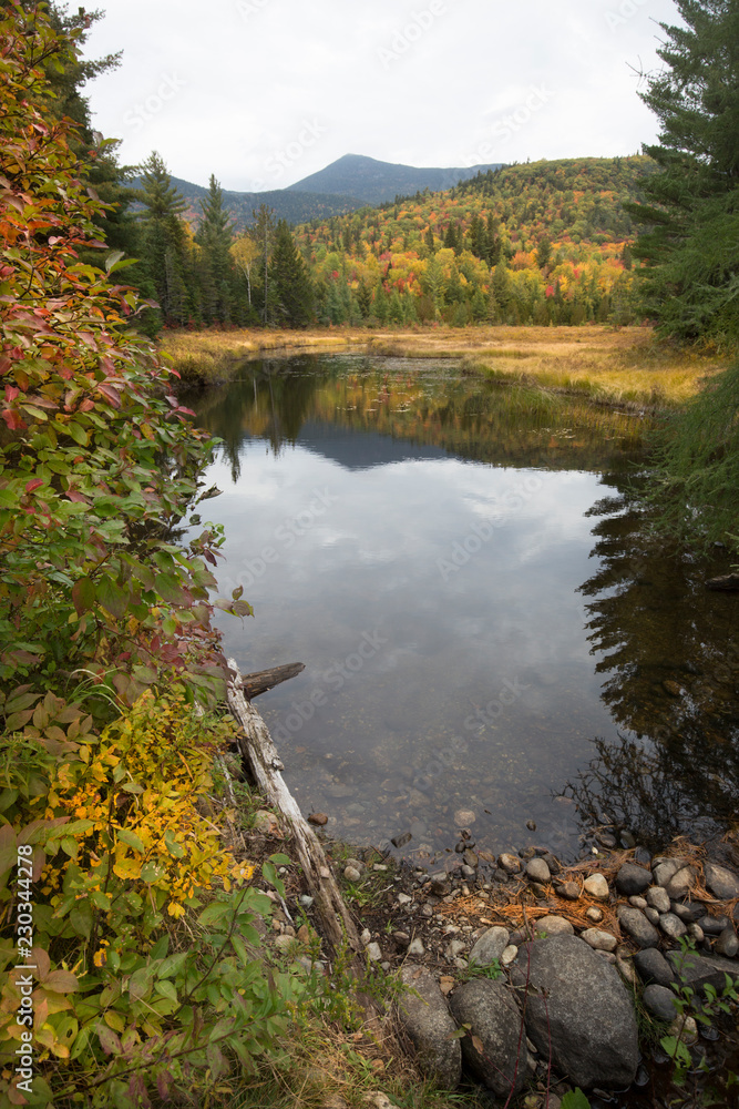 Colorful fall foliage around Stratton Brook Pond, Maine.