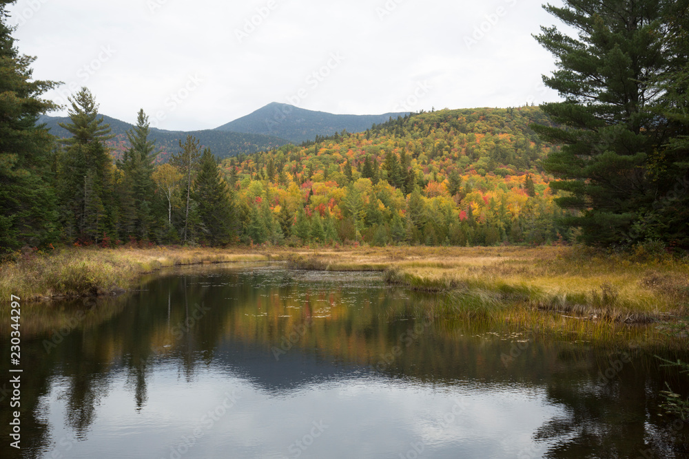 Fototapeta premium Colorful fall foliage around Stratton Brook Pond, Maine.