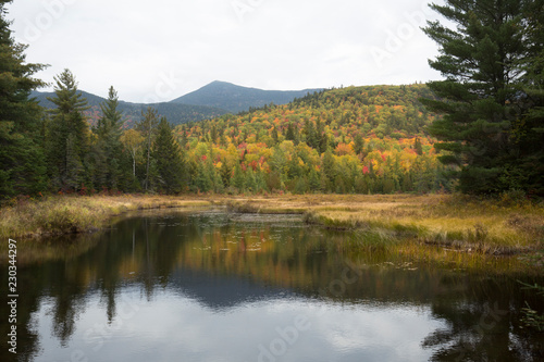 Colorful fall foliage around Stratton Brook Pond, Maine.