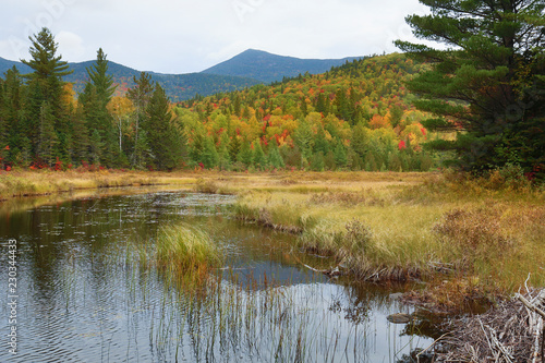 Colorful fall foliage around Stratton Brook Pond, Maine. photo