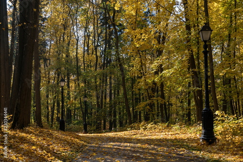 Золотая осень в старинном парке.