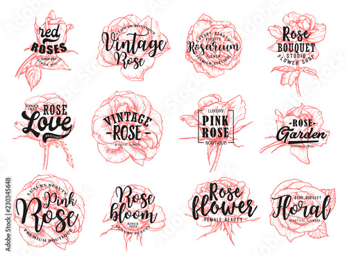 Red roses flower vintage boutique sketch lettering