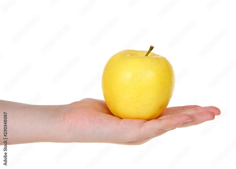 Young female hand holding one golden delicious yellow apple in open palm isolated on white background. Young female hand holding one golden delicious yellow apple in open palm isolated on white background.