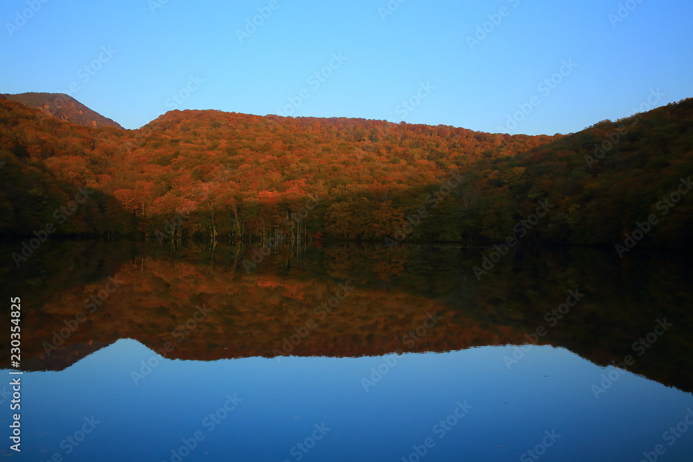 紅葉の蔦沼