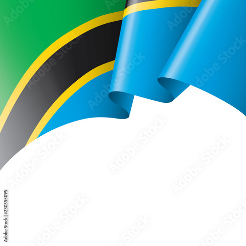 Tanzania flag, vector illustration on a white background