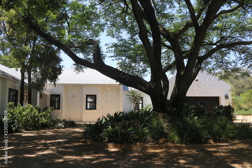 Kyalami estate photo