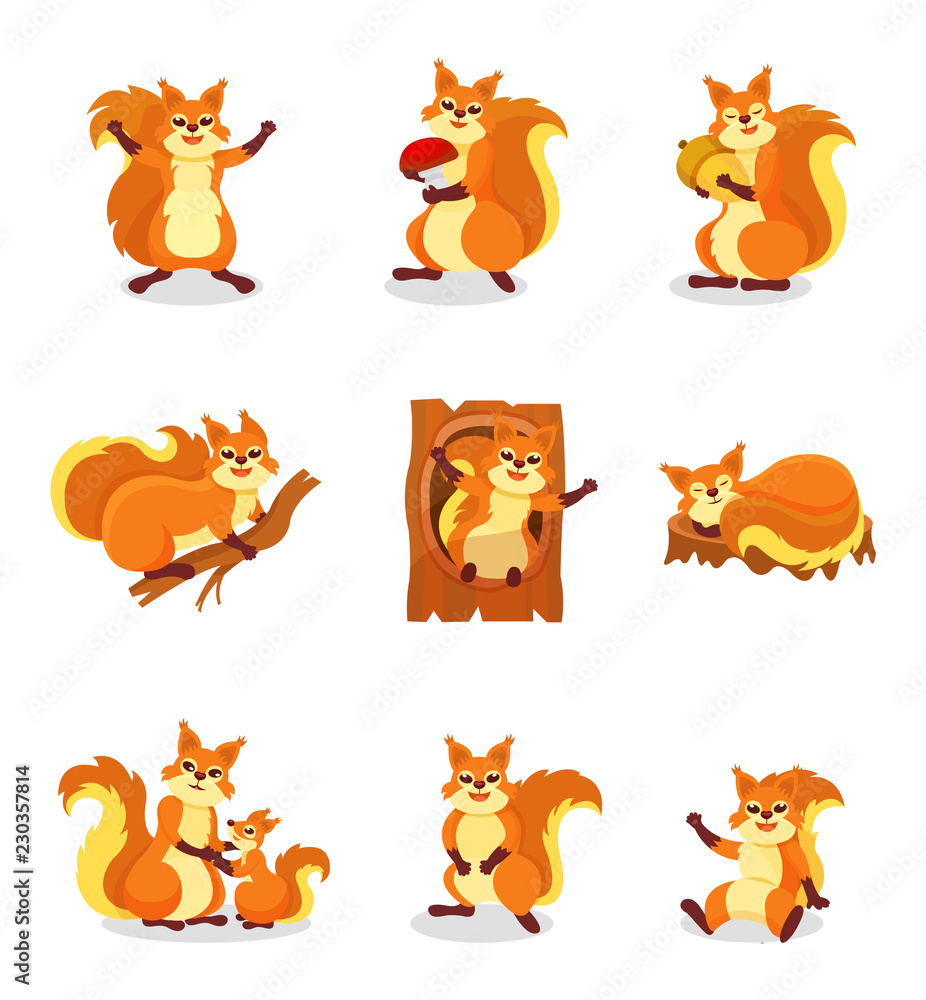 Obraz premium Set of cute red squirrel in different actions. Small forest rodent. Wild animal. Isolated flat vector illustrations