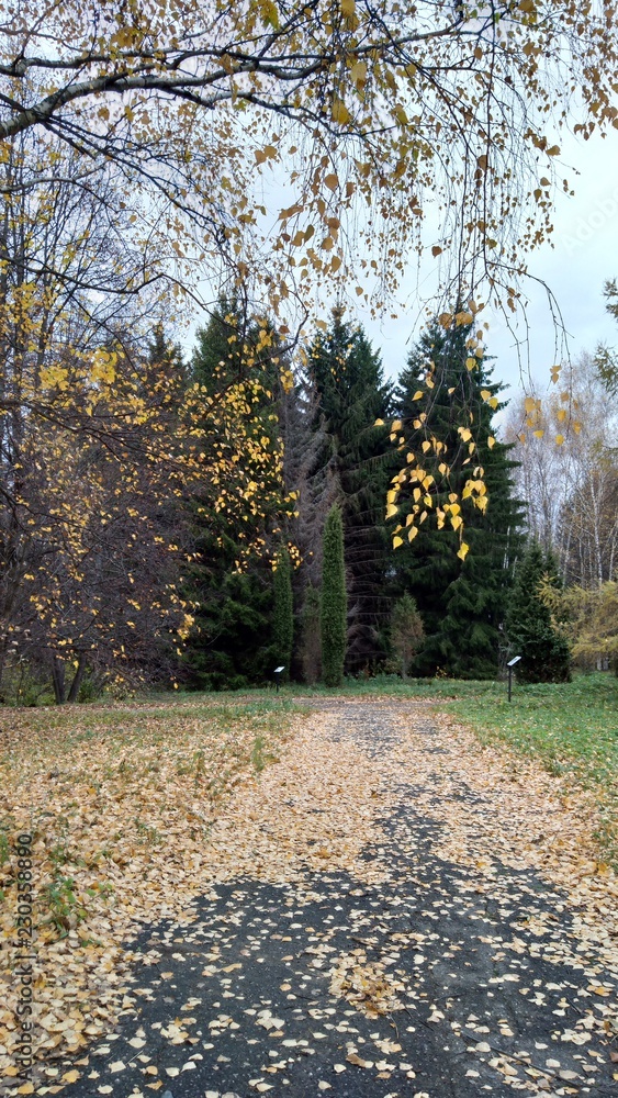 Obraz premium Переславль- Залесский