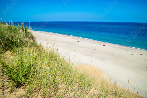 Принти на полотні The Marconi Beach in Cape Cod National Seashore, Massachusetts