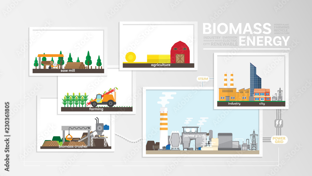 biomass energy, how to produce biomass, biomass power plant generate the electricity