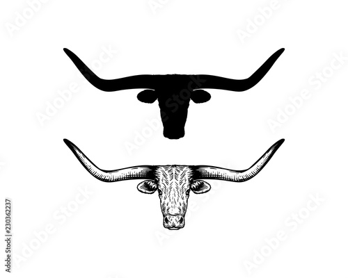 Silhouette and Hand Drawing Vector Head Cow or Bull Antlers Sign Symbol Icon Logo Template Design Inspiration
