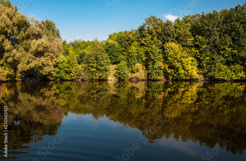 trees reflected in the river