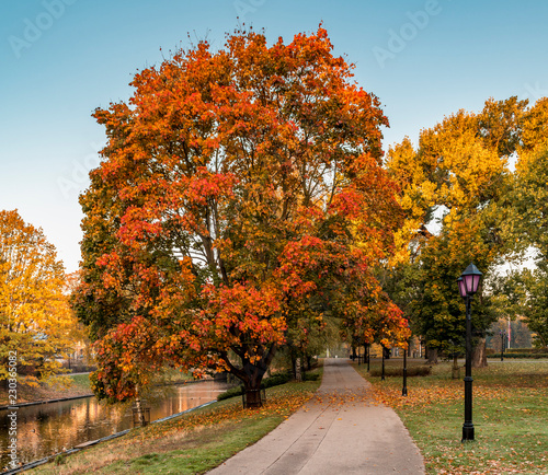 Autumn in central public park of Riga, Latvia, EC. Riga is the capital city o...