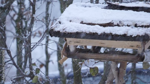 Wallpaper Mural Vogelhäuschen 13 Slowmotion Torontodigital.ca