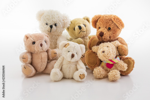Teddy bear familiy