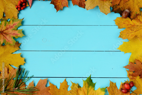 Abstract autumnal on a blurred background for your design .